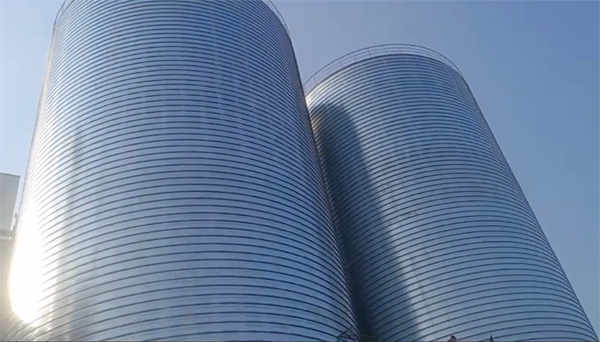 林西2座混凝土高架卷板仓